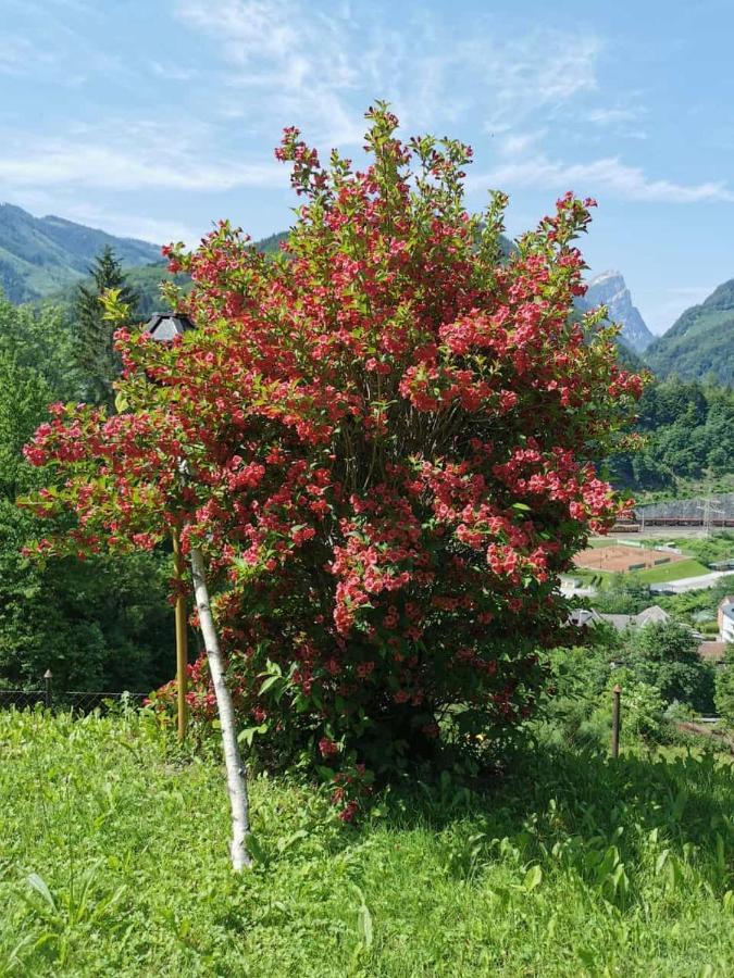 Ferienwohnung Im Nationalpark Gesaeuse Hieflau Esterno foto