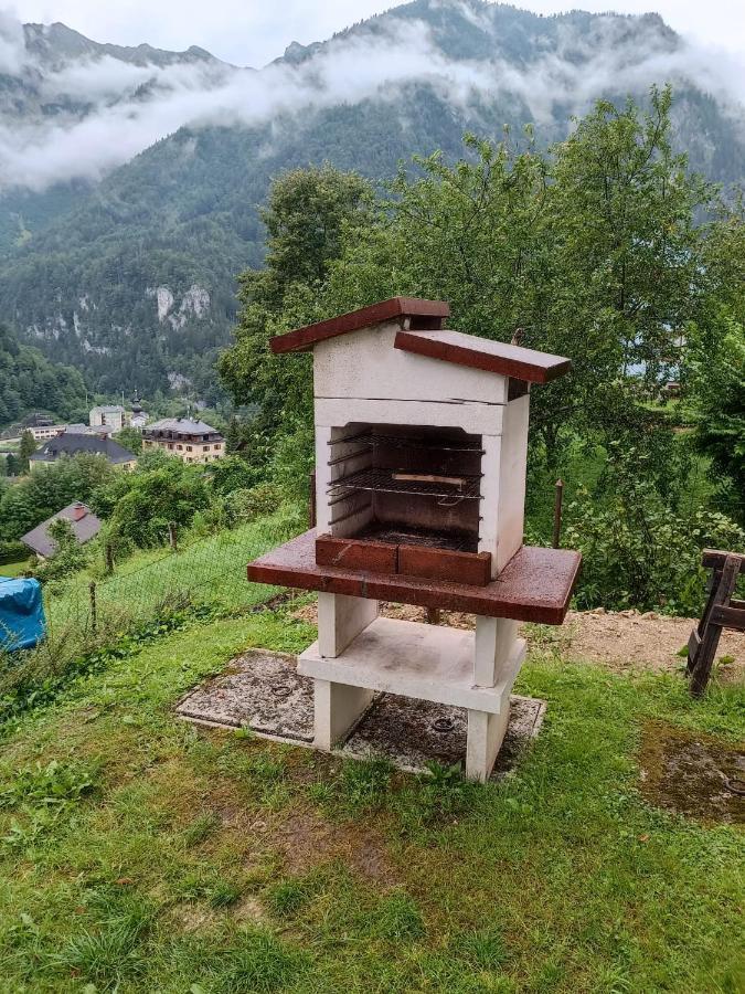 Ferienwohnung Im Nationalpark Gesaeuse Hieflau Esterno foto